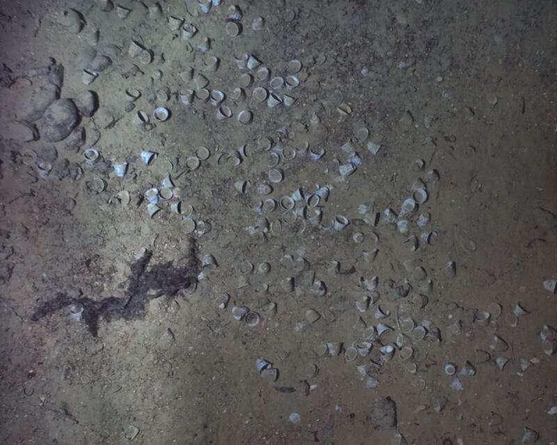 Archaeologists Find ‘Holy Grail of Shipwrecks’ Carrying Stash Worth Up to $17 Billion